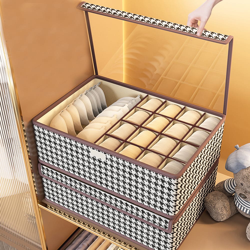 Undergarment Organizer