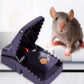 Tomcat heavy duty mouse trap