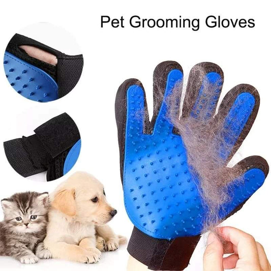 Pair of Pet grooming gloves