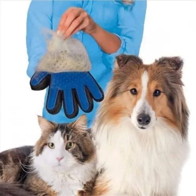 Pair of Pet grooming gloves