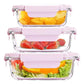 Food grade glass lunch box Set