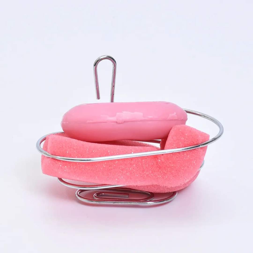 Stainless steel soap and sponge holder