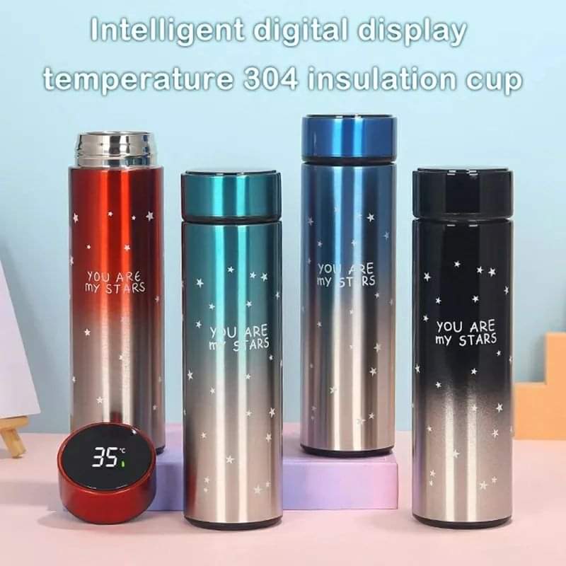 500 ml  Thermol Flask with LED Light