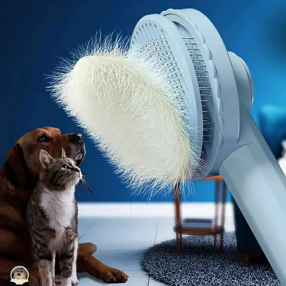 Fur Removal Brush