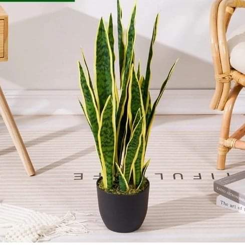 Artificial Decorative Succulent Plant