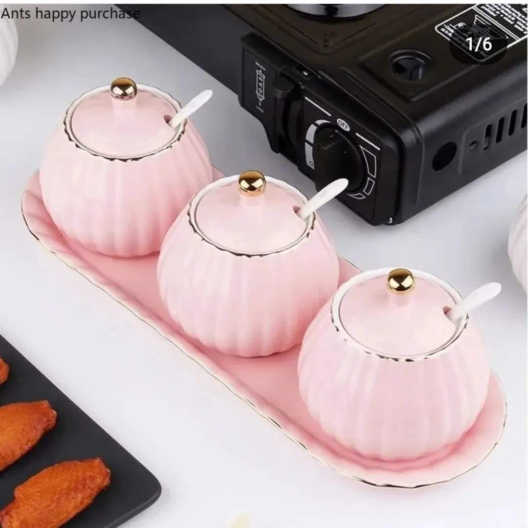 3pcs Ceramic sugar dish/condiments set