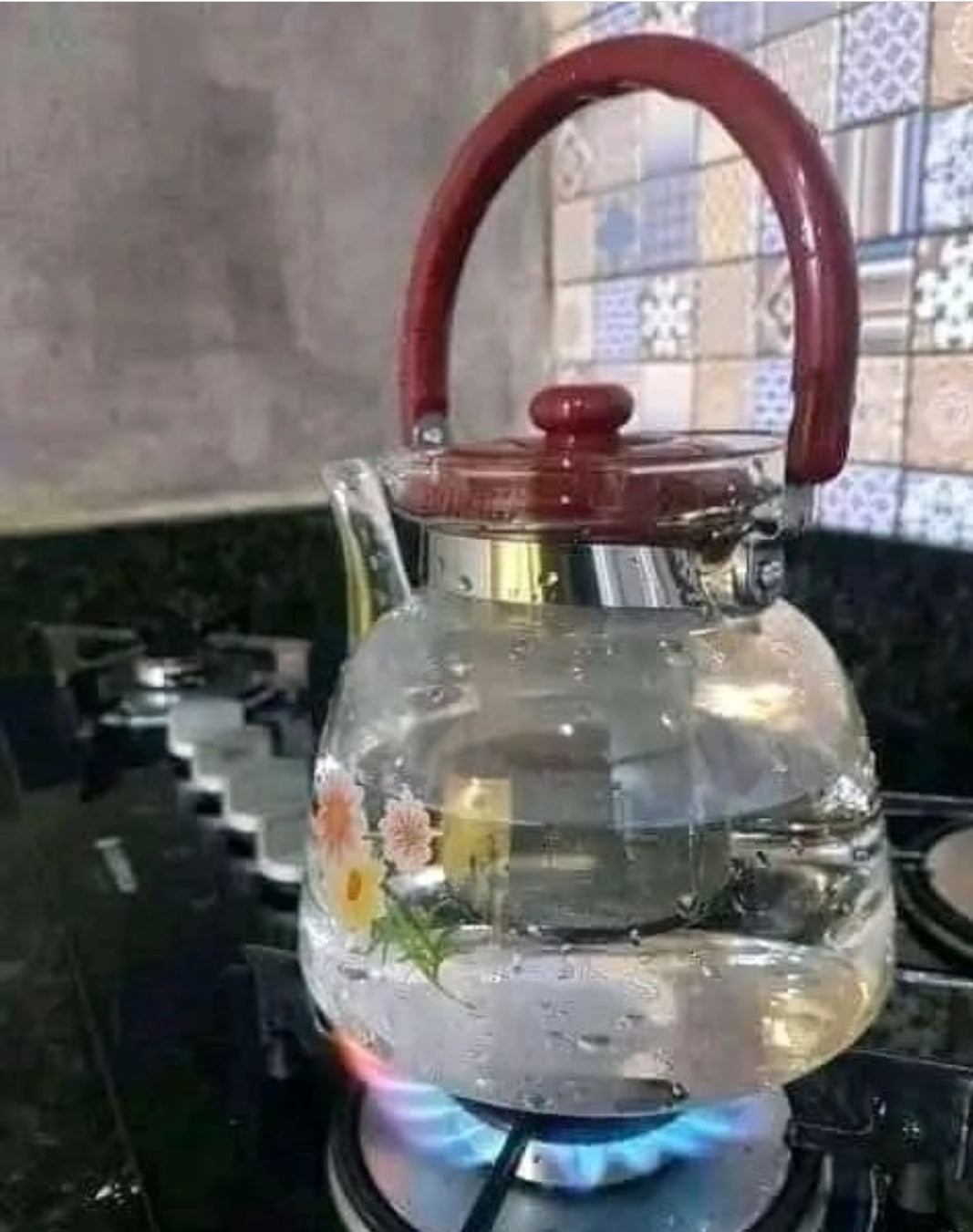 2.2L Heat resistant infuser kettle